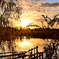 江戸川の夕日