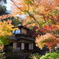 紅葉に埋まる聴秋閣