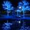 ブルーイルミネーション