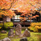 京都紅葉狩り ㉖