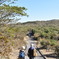 三原山へ続く登山道