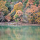 沢池に映る紅葉