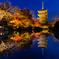 東寺 ライトアップ