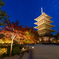 東寺 ライトアップ 4