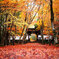 京都紅葉狩り ㉘