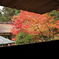 金剛輪寺の紅葉＃７