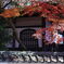 久々の永保寺・紅葉撮影＃９