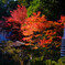 晩秋の山寺＃１