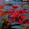 水面に浮かぶ紅葉＃１