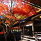 京紅葉2025＿京北・常照皇寺09