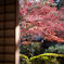 西明寺の紅葉
