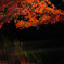 水面の紅葉
