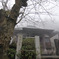 2009-03-20_0004