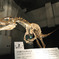 2009-03-24_0036