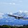 ANAと雪の立山連峰