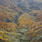 山の紅葉