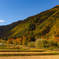 秋を装う里山