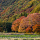 山装い色づく里山