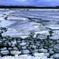 氷の世界（石狩川河口）