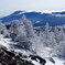 霧氷の森と浅間山