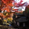 聴秋閣と紅葉