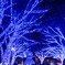 都内夜景巡り【青の洞窟：イルミネーション】②20251216