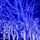 都内夜景巡り【青の洞窟：イルミネーション】③20251216