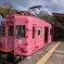 めでたい電車 帰りはpinkの「さち」