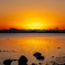 オレンジに染まる海と夜を待つ水鳥たち