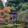浄瑠璃寺 秋