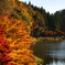 紅葉な湖畔