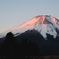 朝焼けの富士。