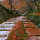 雪と紅葉の百済寺