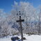 霧氷の赤城山山頂