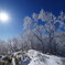 快晴の霧氷ハイク