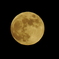 Golden Moon
