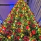 新潟のクリスマス。きらびやか