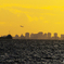 「そら〜」　✈東京湾の夕暮れ