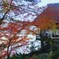 不老庵と紅葉　①。。。！