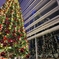 新潟のクリスマス。向こう側のクリスマスツリー