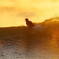 日の出サーファー02