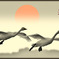 Swans in Shinjiko 2025-51