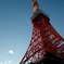 歲末 Tokyo Tower