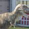 T-Rex