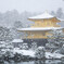 2025年2月 雪の金閣寺