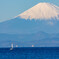 葉山の富士山