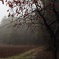 冬雨に霞む