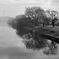 濃霧風景モノクローム