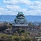 冬枯れた大阪城