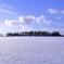 青空と雪原